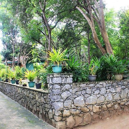 Sigiriya Melrose Villas מראה חיצוני תמונה